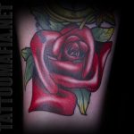 Emily Graven color rose
