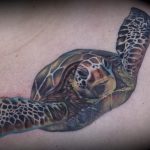Emily Graven Tattoo Artist color turtle