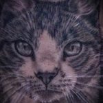 Lisa DeLauder Tattoo Artist black and grey domestic cat 3