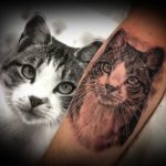 Lisa DeLauder Tattoo Artist black and grey domestic cat