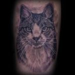 Lisa DeLauder Tattoo Artist black and grey domestic cat 2